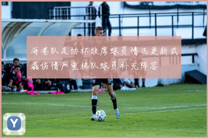 海港队足协杯缺席球员情况更新武磊伤情严重梯队球员补充阵容